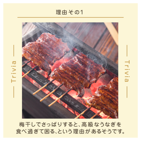 きょうの豆知識