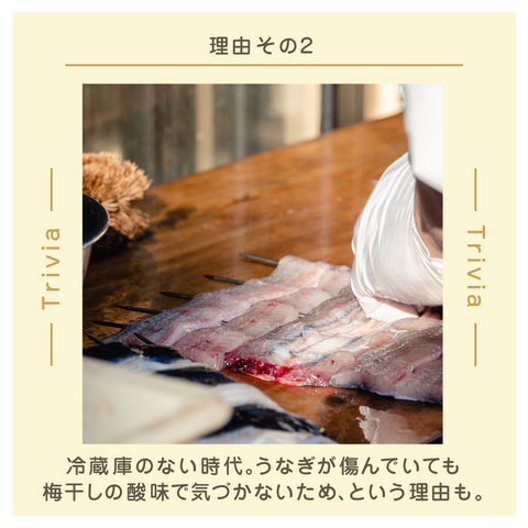 きょうの豆知識