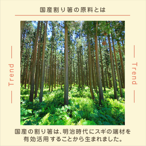 きょうの豆知識