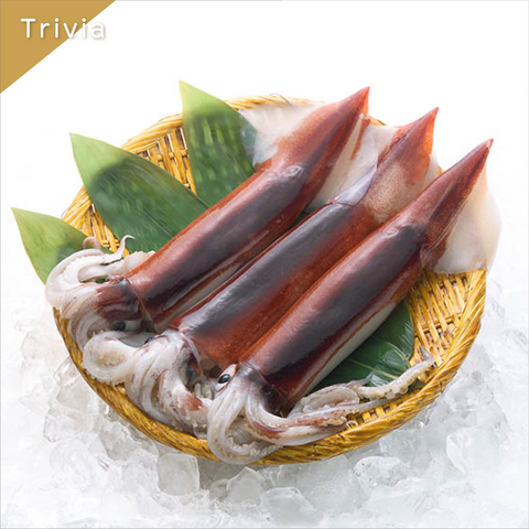 きょうの豆知識