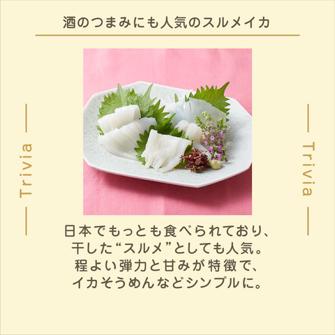 きょうの豆知識