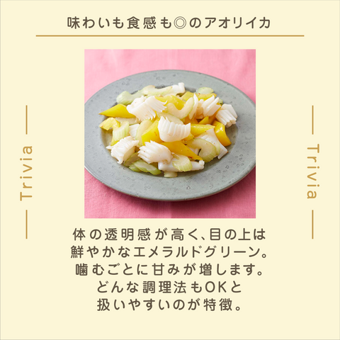 きょうの豆知識