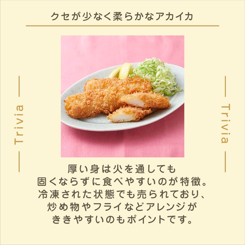 きょうの豆知識