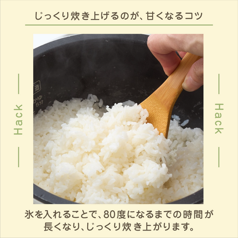 きょうの豆知識