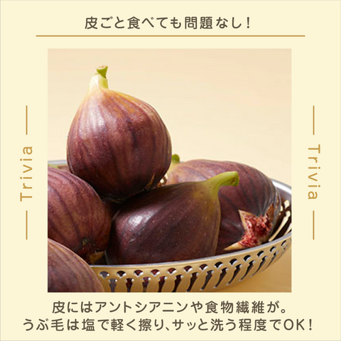 きょうの豆知識