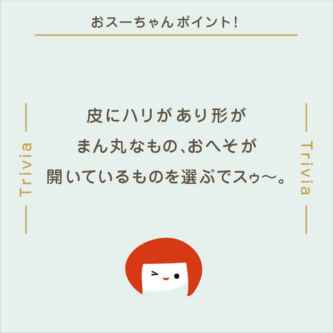 きょうの豆知識