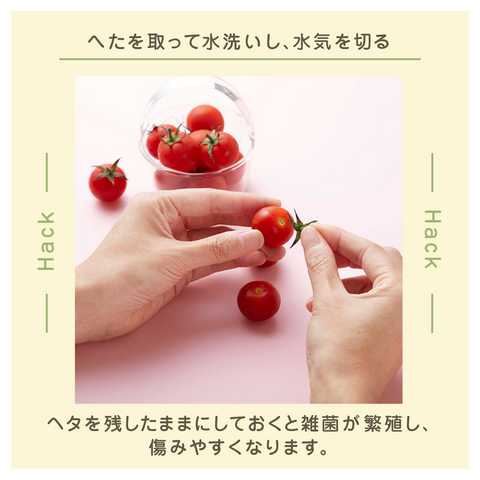 きょうの豆知識