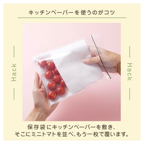 きょうの豆知識