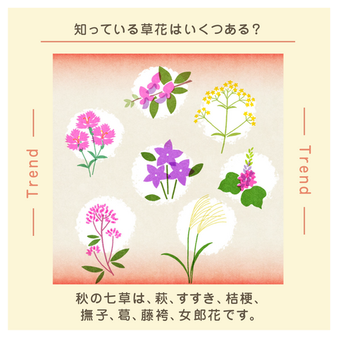 きょうの豆知識