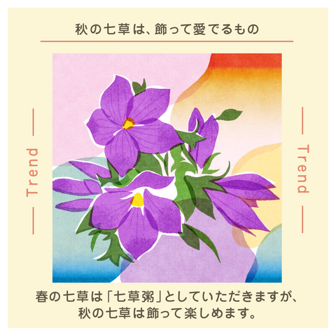 きょうの豆知識