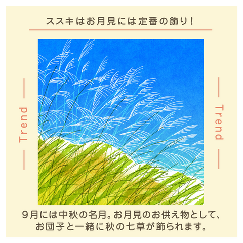 きょうの豆知識