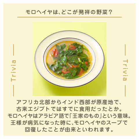 きょうの豆知識