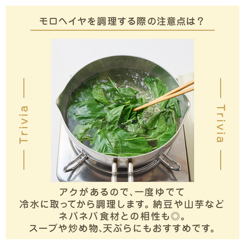 きょうの豆知識