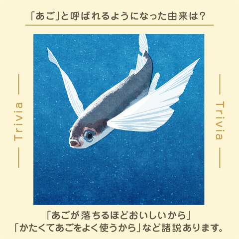きょうの豆知識
