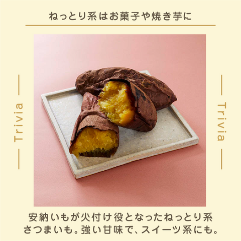 きょうの豆知識