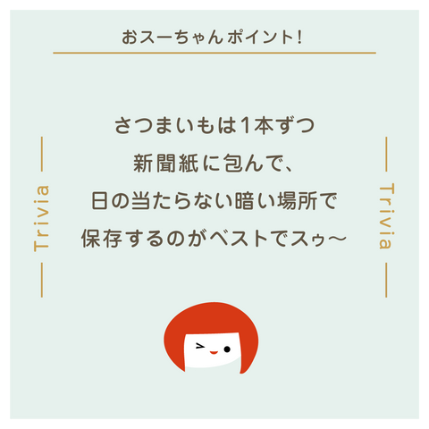 きょうの豆知識