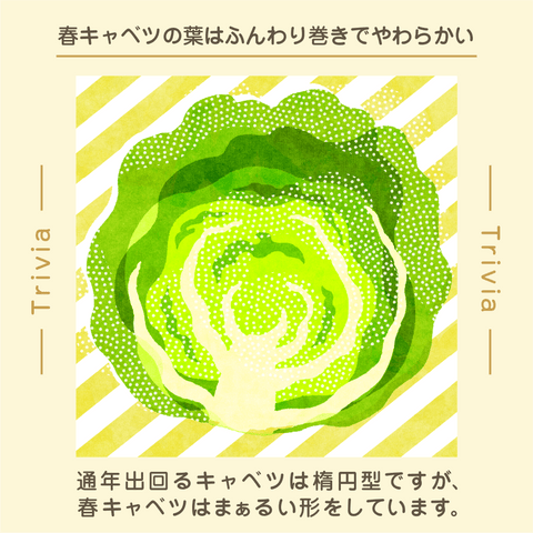 きょうの豆知識