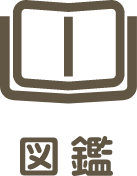 図鑑